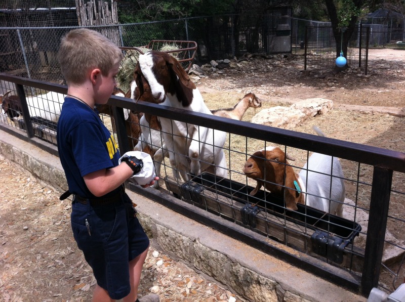 2012-04-09-18-Austin Zoo with Ian.jpg